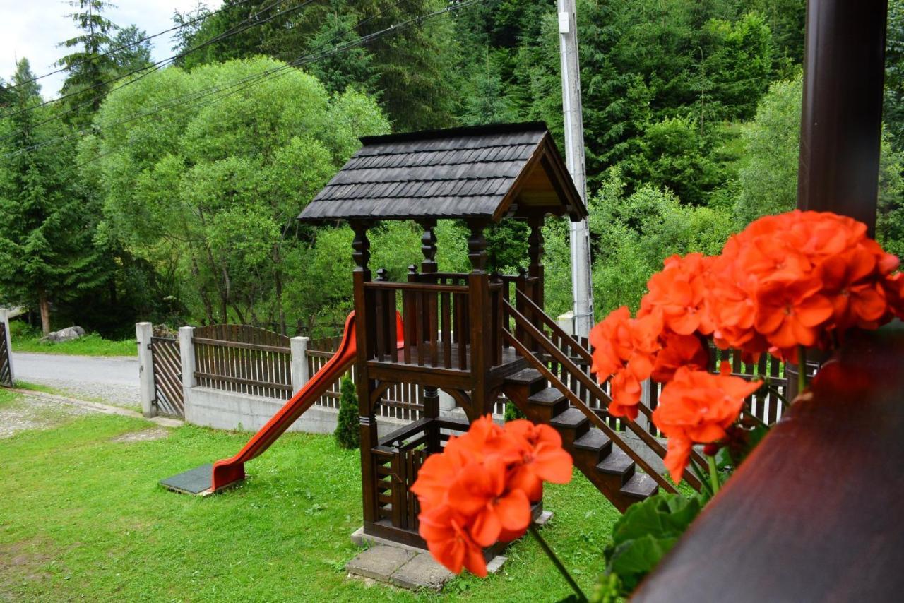 Cabana Cascada Cailor Hotel Borsa  Ngoại thất bức ảnh