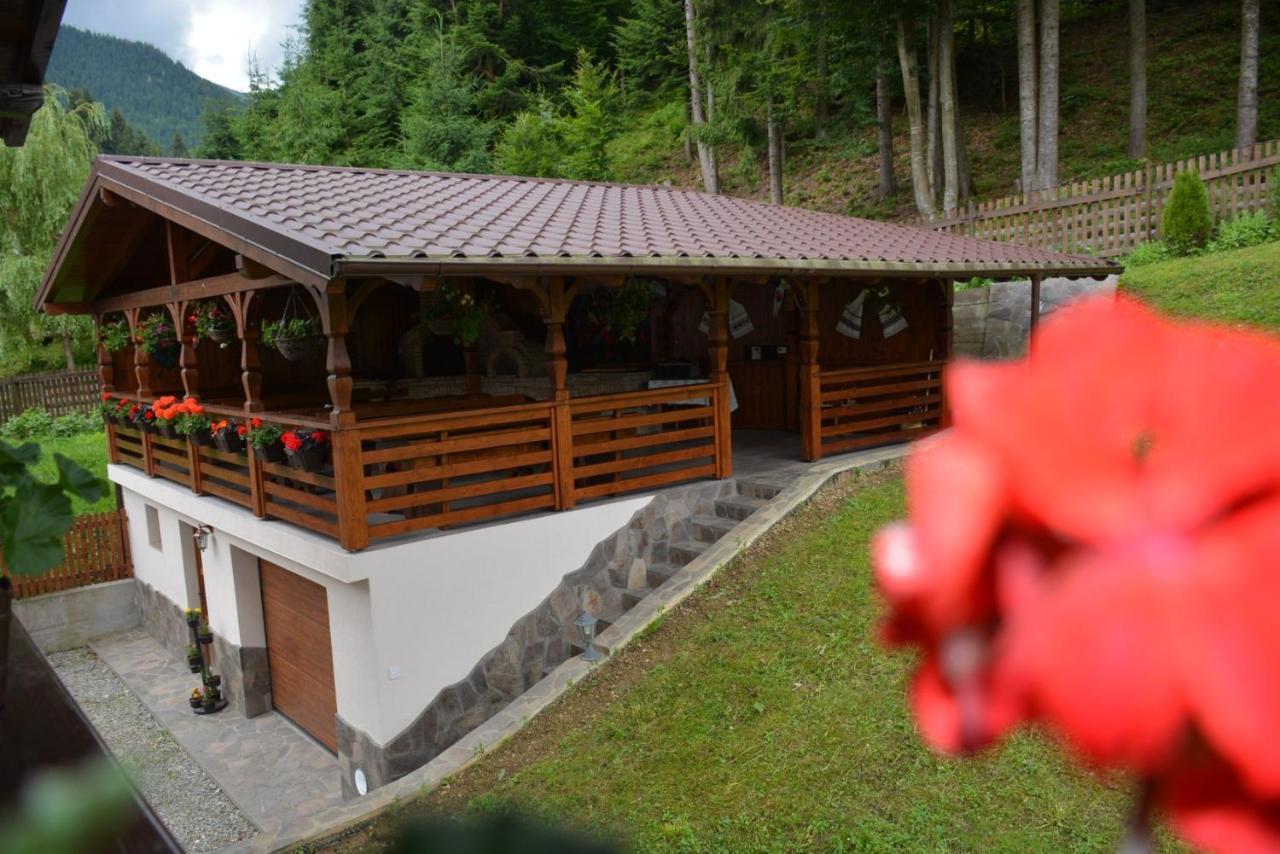 Cabana Cascada Cailor Hotel Borsa  Ngoại thất bức ảnh