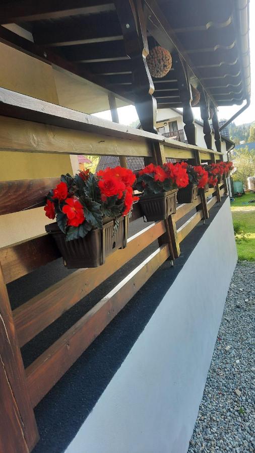 Cabana Cascada Cailor Hotel Borsa  Ngoại thất bức ảnh